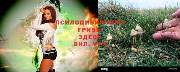 apvp Горнозаводск