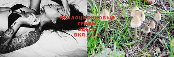 apvp Горнозаводск